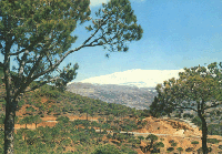 Shuf200.gif (25497 bytes)
